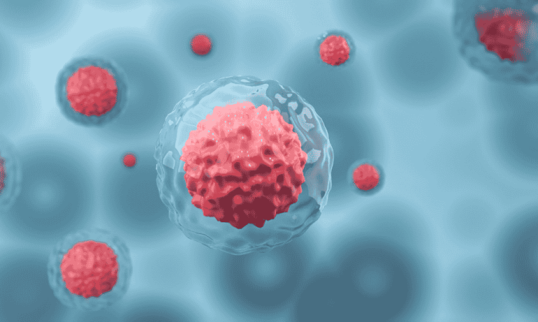 Apa Itu Stem Cell dan Bagaimana Cara Kerjanya?